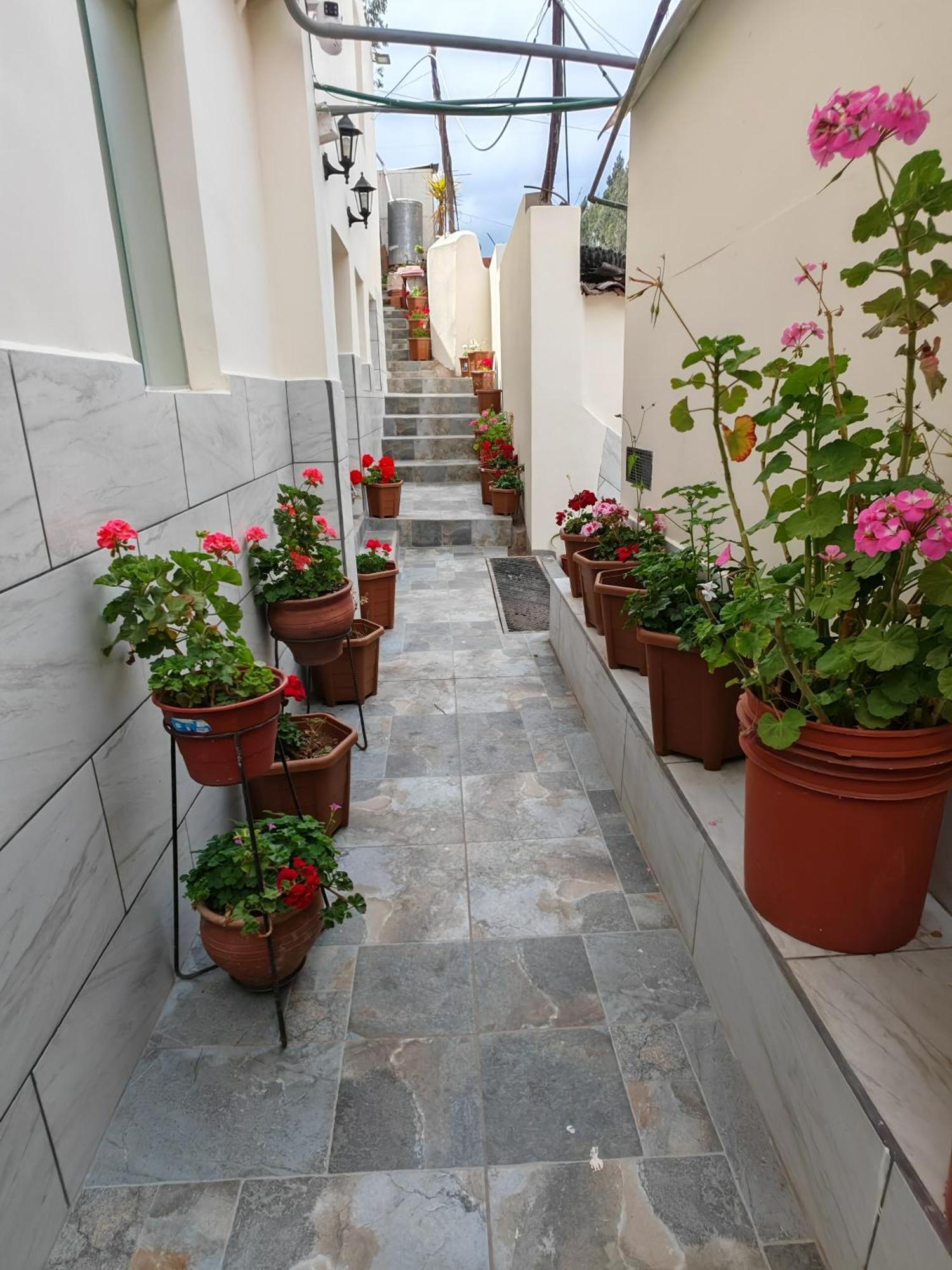 Centro Cusco Inti Apartment Bilik gambar